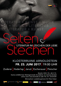 Buch 13 - Seitenstechen final2